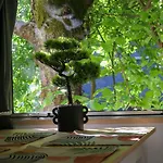 Tinyhaus2 Idyllisch Am Waldesrand Holiday home Cottbus