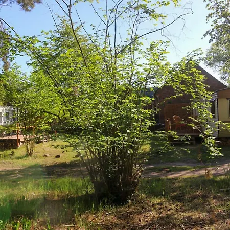 Holiday home Tinyhaus2 Idyllisch Am Waldesrand