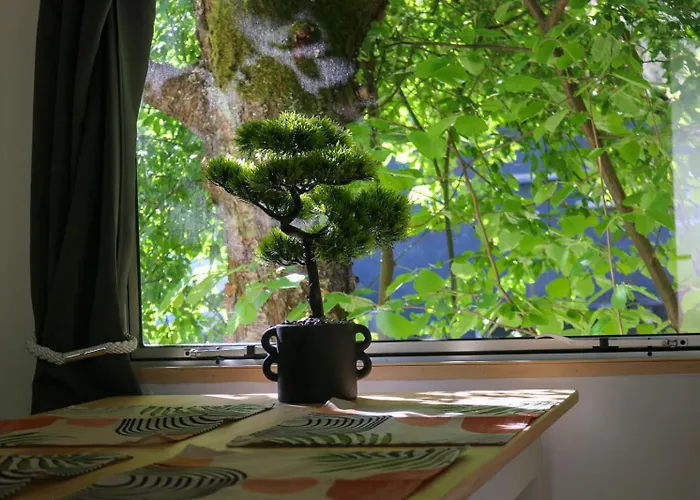 Tinyhaus2 Idyllisch Am Waldesrand بيت للعطل كوتبوس